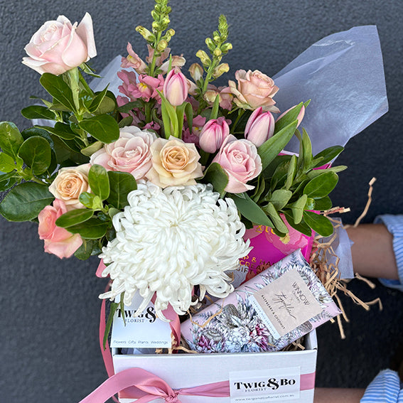Plants & Hampers