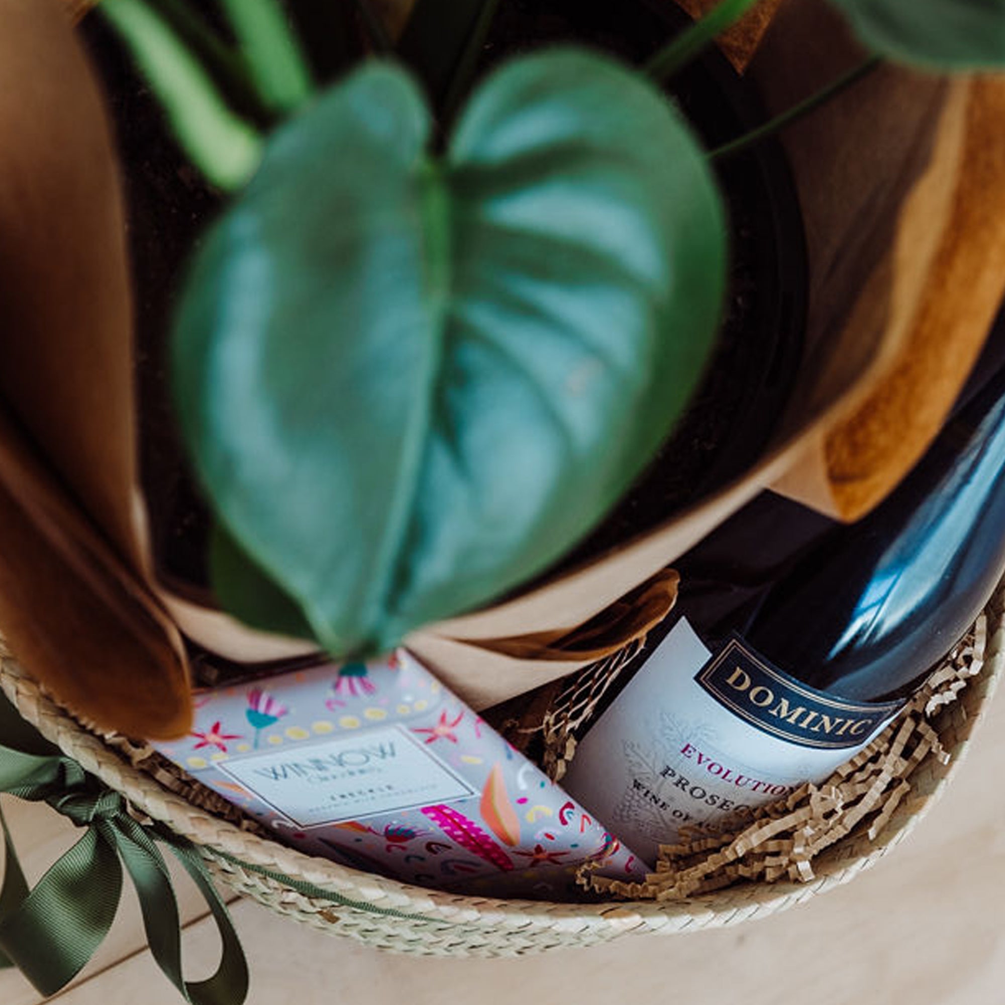 Plant Lover Gift Hamper // Plant, Chocolates, Prosecco