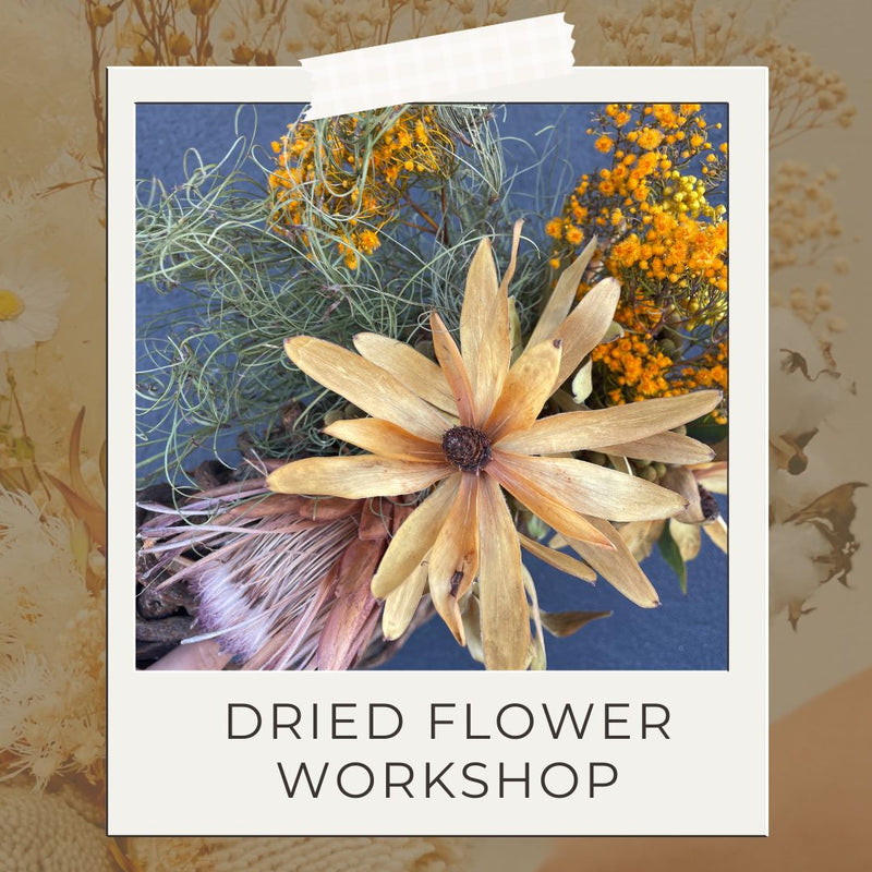Dried Flower Arrangement // Workshops