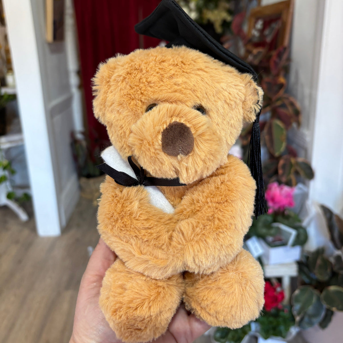 A 20cm plush teddy bear wearing a black graduation cap and tassel, held in a person's hand in an indoor room with plants and furniture in the background.