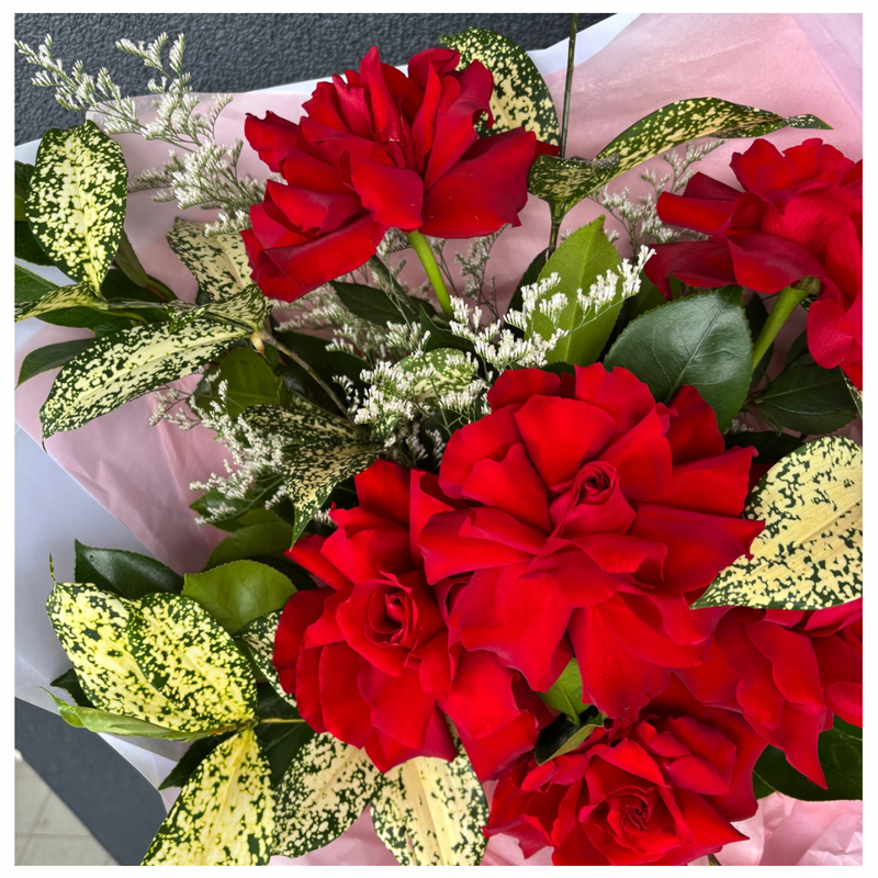 True Love Red Roses