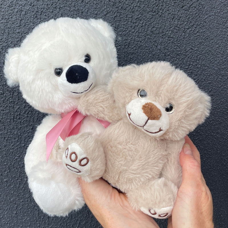 Add on: 'Bear Hugs' Valentines Day Gift