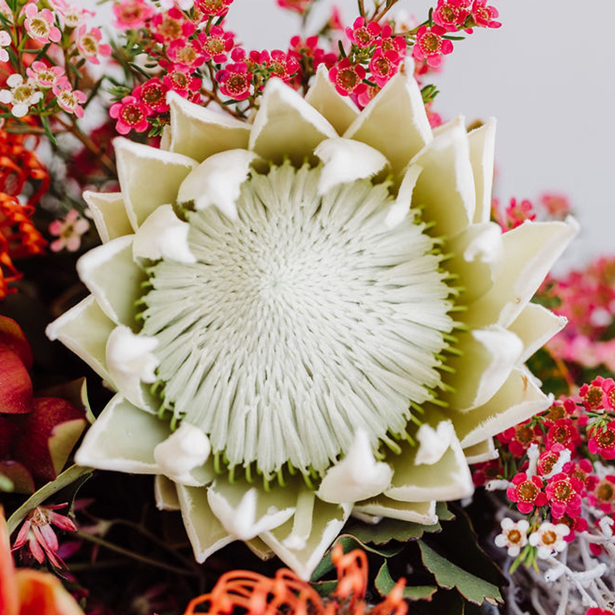 Festive Seasonal Flowers By the bundle (DYI Home Bundle)