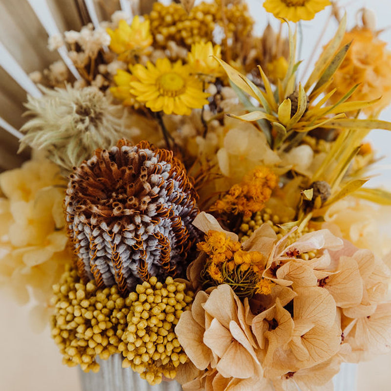 Mini // Dried Flower, Pot Arrangement