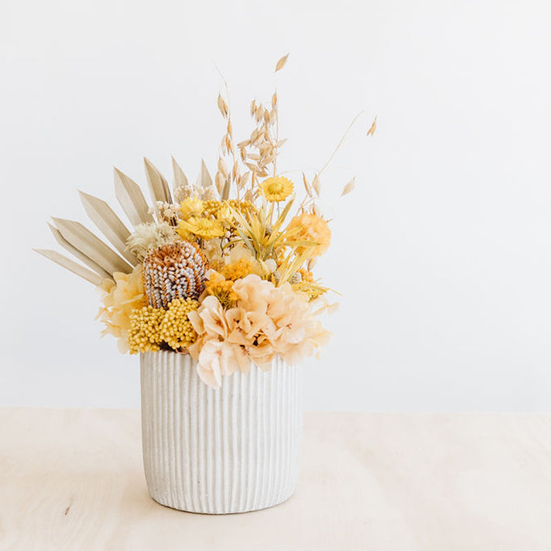 Mini // Dried Flower, Pot Arrangement