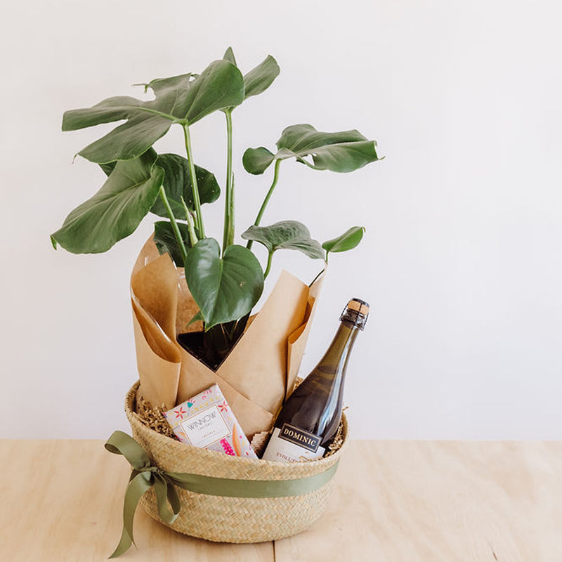 Plant Lover Gift Hamper // Plant, Chocolates, Bubbles + more