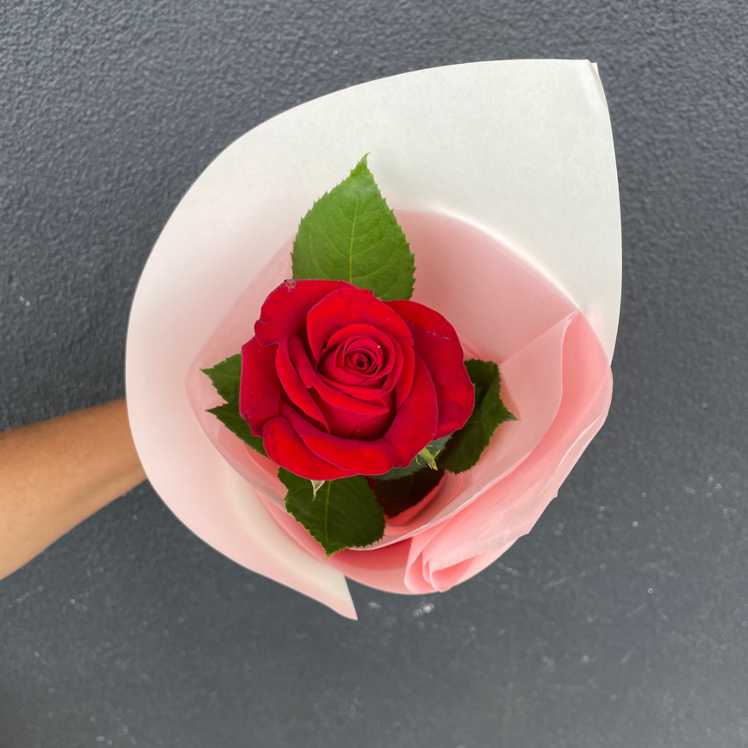 'Love your Goodies' Valentines Day Red Rose Gift Bag