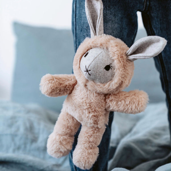 Add on: Soft Plush Toy (Small)